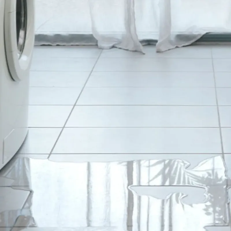 Appliance Leak Cleanup in Belmont, NC