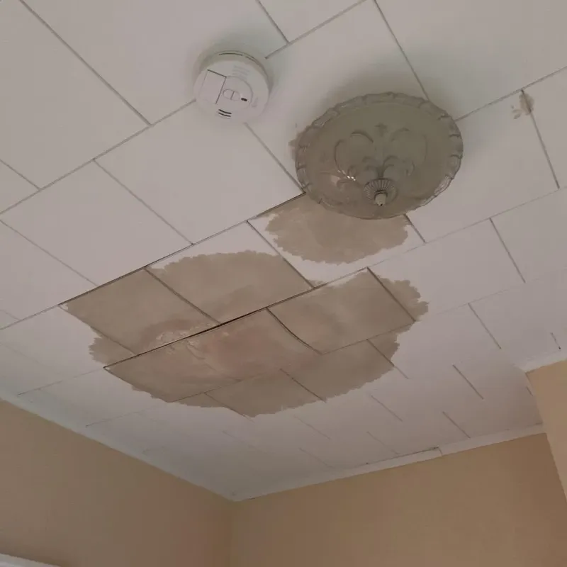 Ceiling Water Damage Repair in Belmont, NC